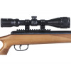 Пневматическая винтовка Crosman Trail NP 8-BT1K77WNP (дерево, прицел 3-9x40)